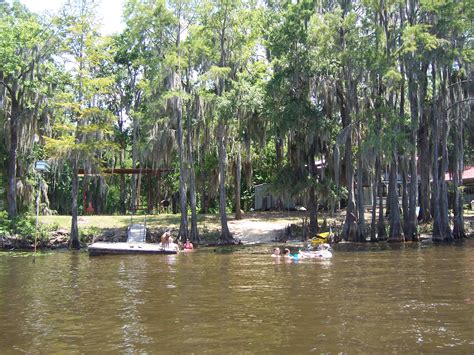 Caddo Lake Boat Tours Prices